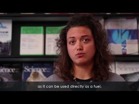 Sobre o Gás Natural - Transição Energética