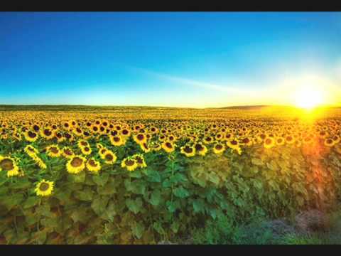 Gerardo Boscarino - Sunflowers [ De Ushuaia Bulgarian Folk Mix ]