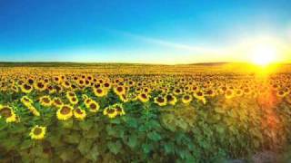Gerardo Boscarino - Sunflowers [ De Ushuaia Bulgarian Folk Mix ]