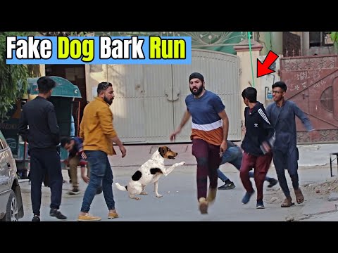 Fake Dog Bark Run | Pranks in Pakistan | LahoriFied