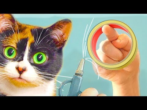 5 EXPERIMENTE, DIE SIE ZU HAUSE DURCHFÜHREN KÖNNEN!