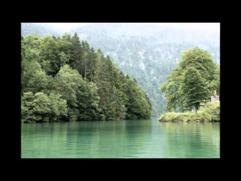 Deep Dive Corp. (meets Michele Adamson 2011)-Airports