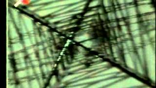 KREATOR Toxic Trace (Musik/Promo-Video 1987)