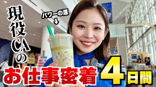 アメリカの航空会社で働く日本人CAの4日間を全てお見せします🇺🇸