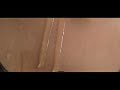 Samyuktha Menon Rare Navel Samyuktha Menon 0il Scene Samyuktha Menon Hot