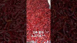 고추가 끝내줘요.