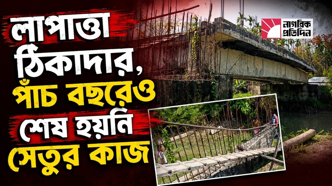 মই ব্যবহার করে পার হচ্ছেন কোটি টাকার সেতু