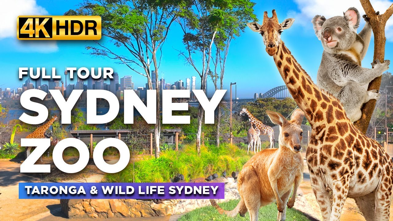 Embark on an immersive virtual tour of Taronga Zoo.