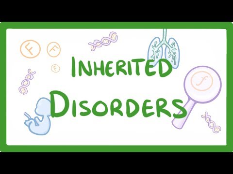 Kingdoms of Life Animals Plants Fungi Protoctists Bacteria and Viruses 1