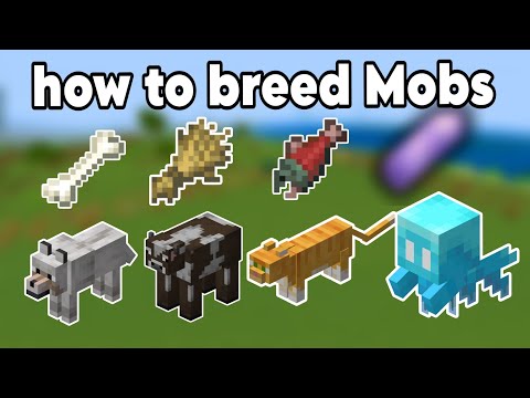 How to breed Mobs in Minecraft 1.21 