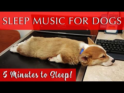 Sleep Music for Dogs Black Screen | Fade-to-Black in 5-minutes