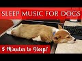 Sleep Music for Dogs Black Screen | Fade-to-Black in 5-minutes
