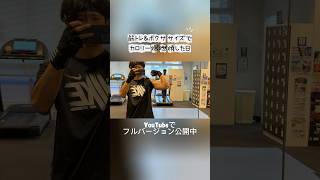 【3連休最終日】腕トレ＆ボクササイズ！1日運動で消費カロリー爆燃焼！｜29歳社会人 自分磨きVlog#自分磨き #朝活 #vlog #モーニングルーティン #愛媛県松山市