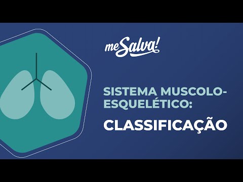 Sistema musculoesquelético - Classificação - Anatomia Humana Básica - Me Salva! Saúde