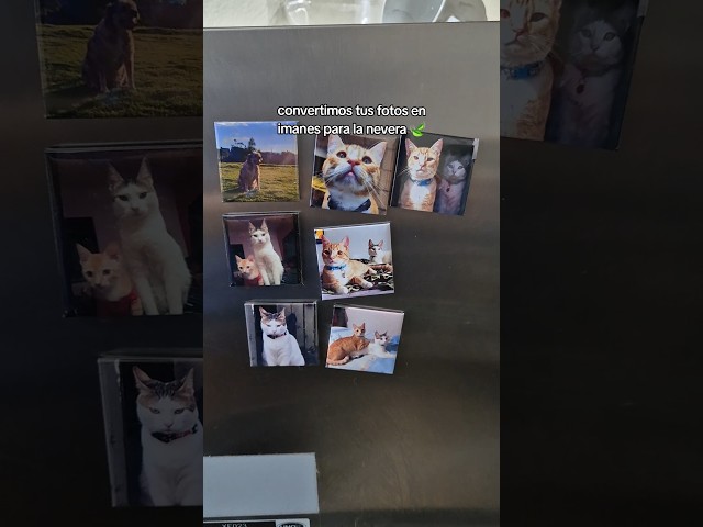 Vídeo relacionado con Lesfit Emoji Imanes, 12 Pieza Imanes Frigorifico Divertidos de Cristal 3D para el Refrigerador/Pizarras Blancas (1.18 Pulgada)