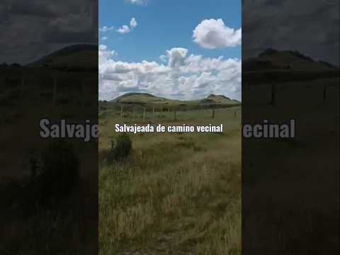 Por caminos vecinales  o de cabra , entre Caserío Minas de Zapucay y ruta 29 , Rivera 🇺🇾 .