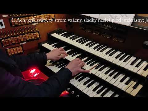 JKS 129 - Ach, kríž svätý (Dóm sv. Alžbety)