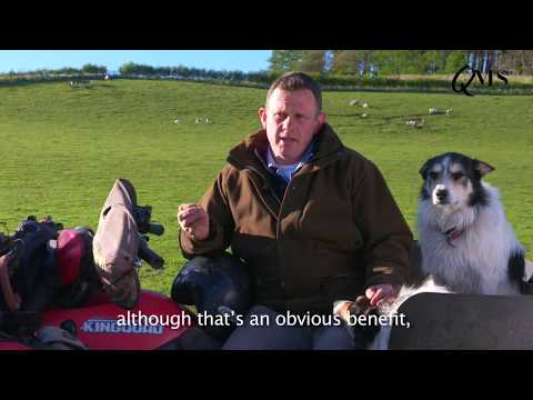 Borders Farmer Benefits from Clean Grazing