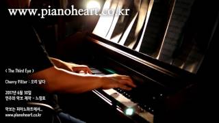 체리필터(Cherry Filter) - 오리날다(Flying Duck) 피아노 연주, pianoheart