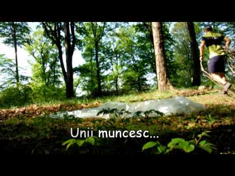 Expeditie pe dealul Boistea (mai 2013)