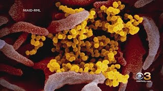 All  Philadelphia Schools Closed For 2 Weeks Due To Staffing Shortage Caused By Coronavirus