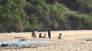 preview picture of video 'Paragliding at Querim beach Goa'