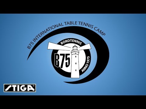 DM Bordtennis 2019 Søndag