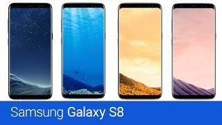 Samsung Galaxy S8 G950F 64GB