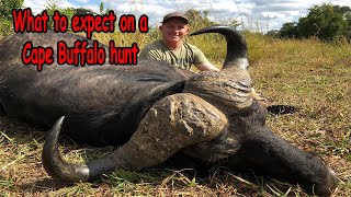 What to expect on a Cape Buffalo hunt.