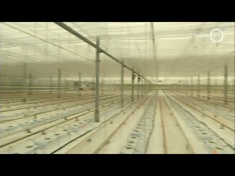 GLD Nieuws 8 januari 2013 - Nieuws