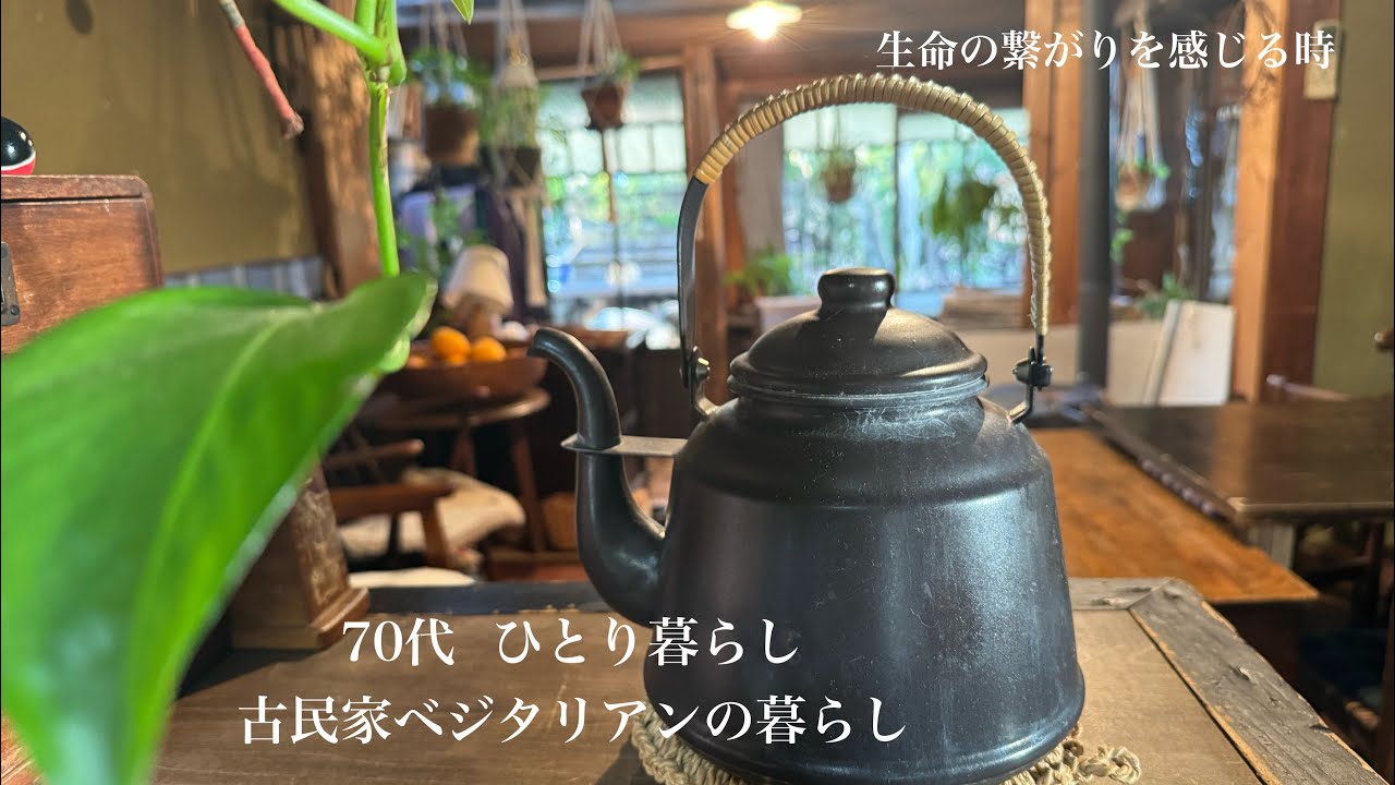 【古民家暮らしのvlog】再び迎えた転換期/生命の繋がりを感じる時/猫