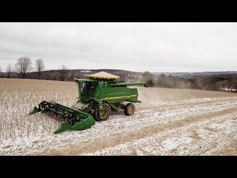 Combining Soybeans In the snow | January 7th, 2020
