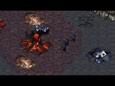 Scrappy Series: Larva vs BarrackS - Ladder - Starcraft Broodwar