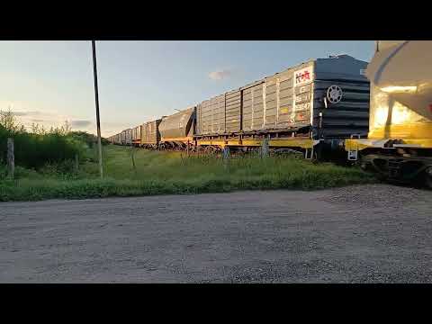 Gt- 22 (9100) con un Tren Vacio de N.C.A a su paso por "El Km 999 -Vilmer" 🚂☀️