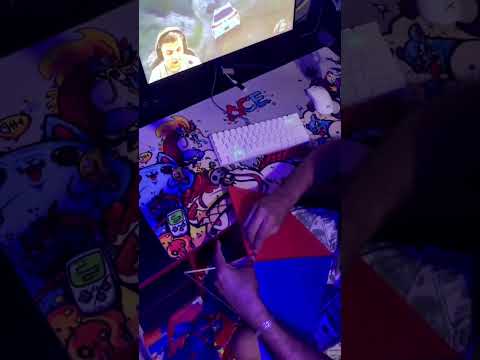 #pipa #shorts #paulinhooloko