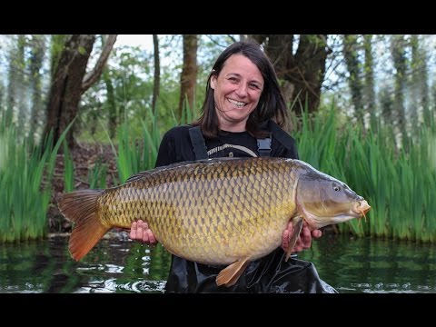 Lou Bowes Short Sessions