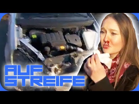 Autodiebe erwischt! Zeuge wird von den Dieben entführt! | Auf Streife | SAT.1