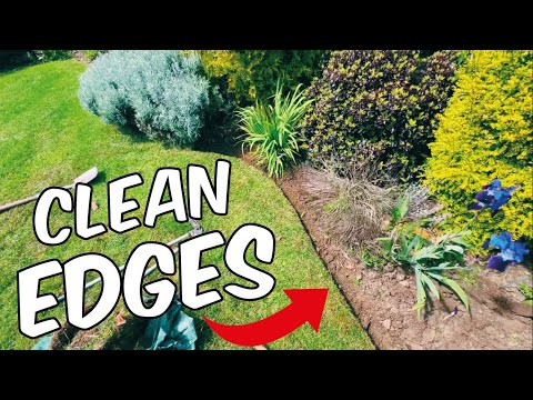 How To Have CLEAN EDGES in a LAWN | NO Strimmer EDGING SECRETS Revealed | Half Moon Crescent and HOE