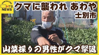 士別市　男性クマに襲われ　抵抗して手がクマの鼻にあたり　クマ逃げていき無事　「とうとうやられるかと」