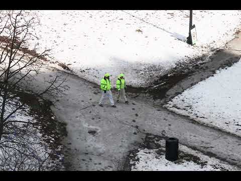 Frame & Composition | Layla Williams