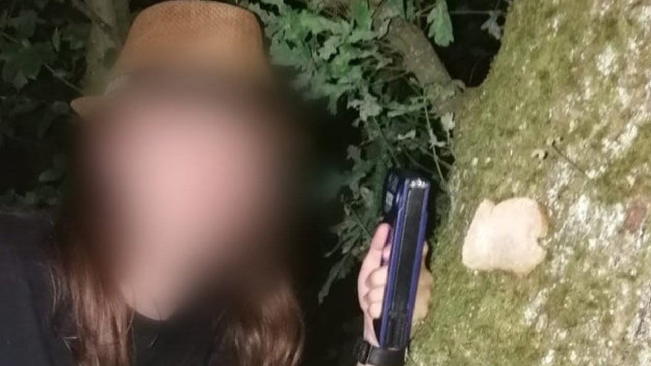 r/breadstapledtotrees | bread stapled to trees