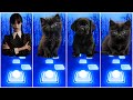 Wednesday Addams Vs Cute Cats Vs Cute Dog With Lady Gaga Bloody Mary I Tiles Hop EDM Rush