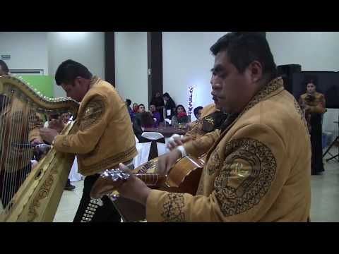 download lagu mp3 mp4 Mariachis En Zacatecas, download lagu Mariachis En Zacatecas gratis, unduh video klip Mariachis En Zacatecas