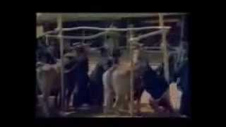 Download lagu PAK SAKERAH MADHUREH 1982 FULL MOVIE 1 mp3