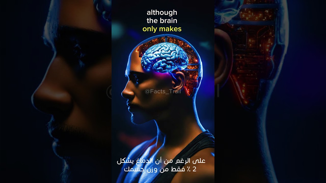 Amazing Facts About the Human Brain in One Minute