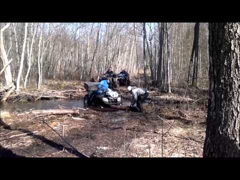 Cärolin MA istutuspäev 2014