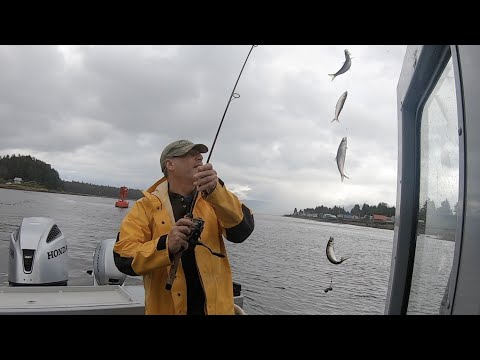 image-Where do you catch herring fish?