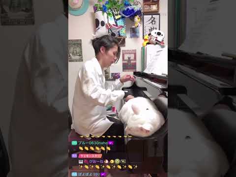 (soredeha, )Fuji Kaze san🙋🏻🐱 #藤井風 #cat #kitty