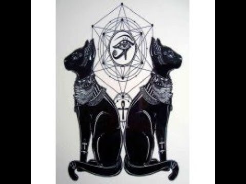 Video Hedging Forex EA4