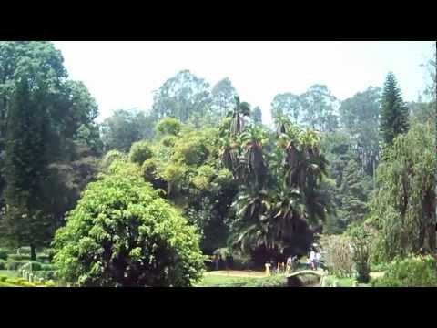 Ooty video